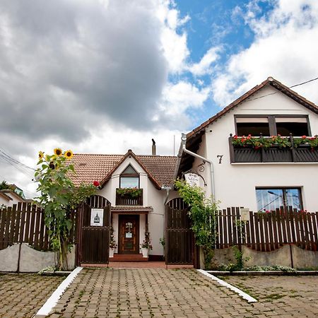 Panorama Guesthouse Сигишоара Экстерьер фото