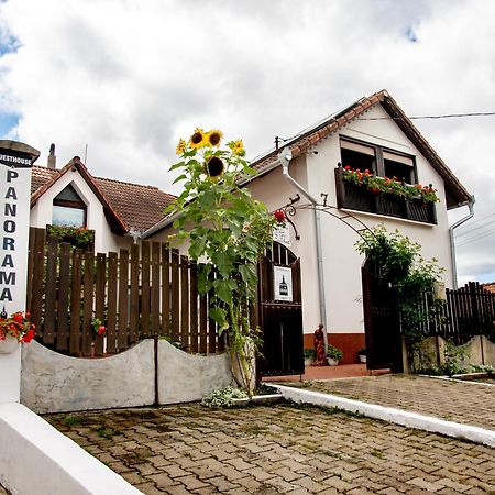Panorama Guesthouse Сигишоара Экстерьер фото